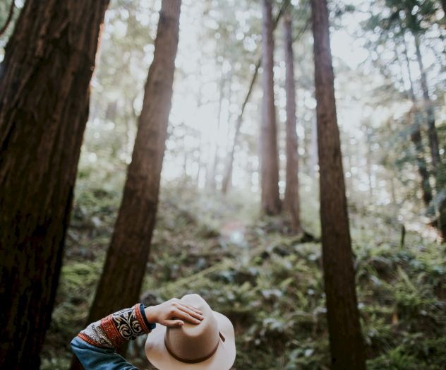 The Redwood Riverwalk, A Boutique Motel