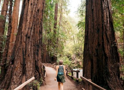 The Redwood Riverwalk, A Boutique Motel